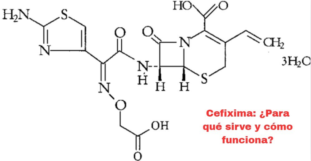 cefixima para que sirve
