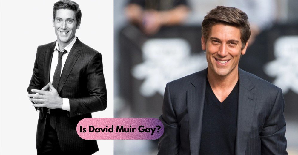 Is David Muir Gay